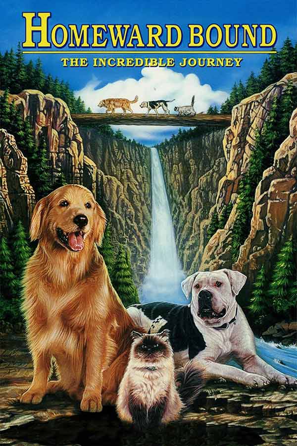 film poster from "Homeward Bound: The Incredible Journey" of two dogs and a cat in a valley with a waterfall