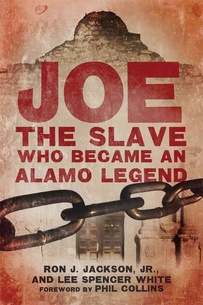 Joe the Slave book cover
