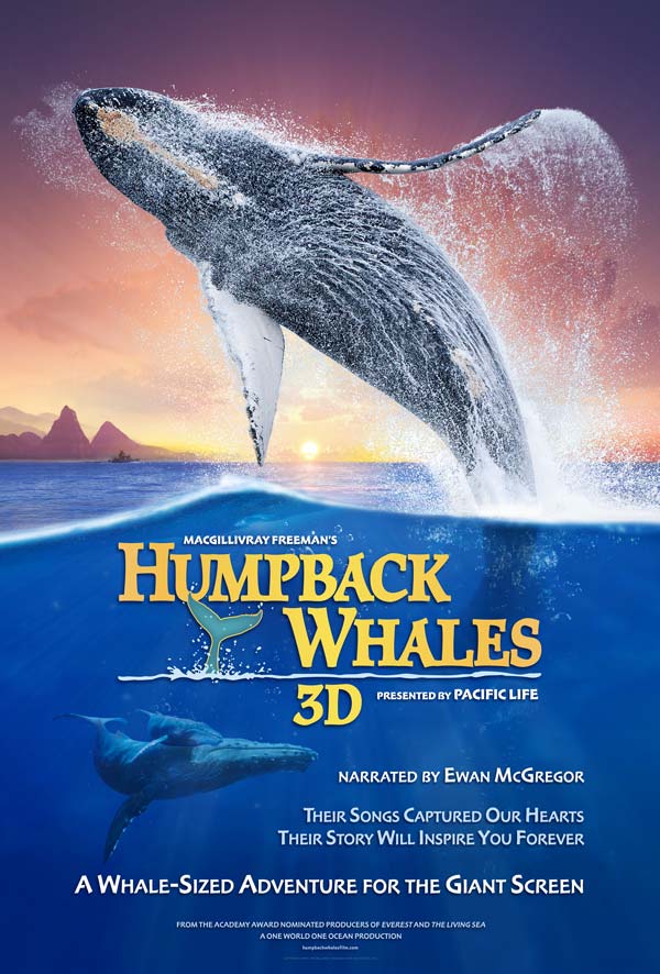 Humpback Whales in 3D to make a splash Feb. 13 at the Bullock's renovated IMAX Theatre