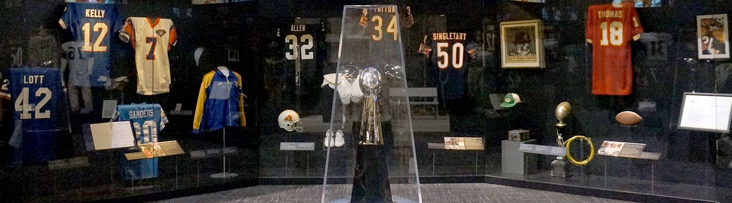 Gridiron Glory: The Best of the Pro Football Hall of Fame