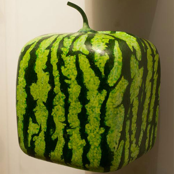 Box Watermelon