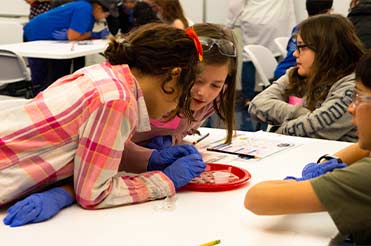 children doing a science activity.