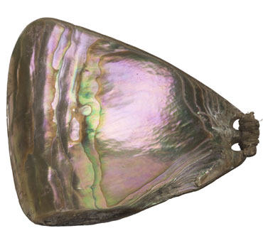 Early jewelry depicts luminescent beauty in nature