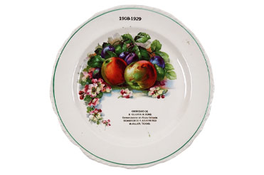 colorful still life of fruit on a white porcelain plate