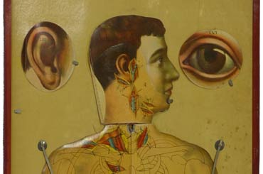medical drawing of a man with his head turned to the side, there are drawings of an ear and an eye on either side of the head