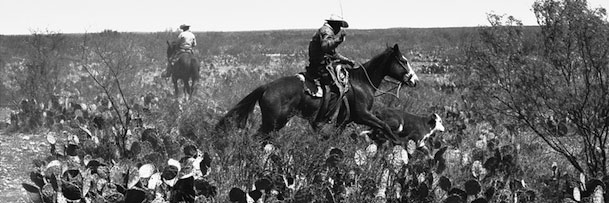 VAQUEROS