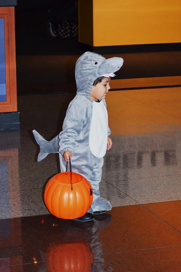 young child in a shark costume holding a plastic pumpkin in the Bullock Museum