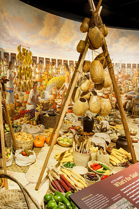 Aztec Marketplace B