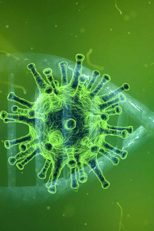 digital illustration of the Corona virus that looks like a spiky green ball, in the background is a strand of DNA, the background is a lime green color