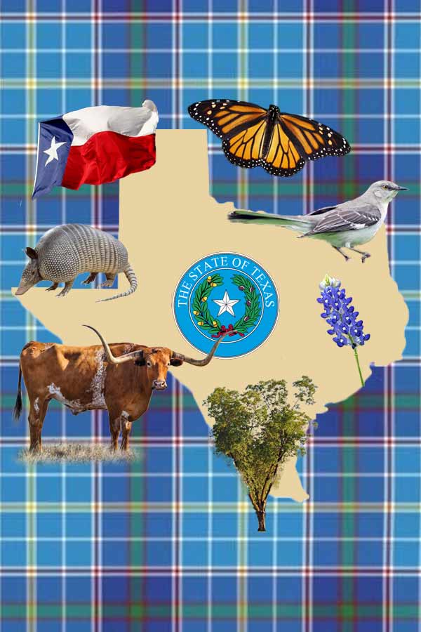 Various Texas symbols on top of an outline of Texas against a plaid blue background