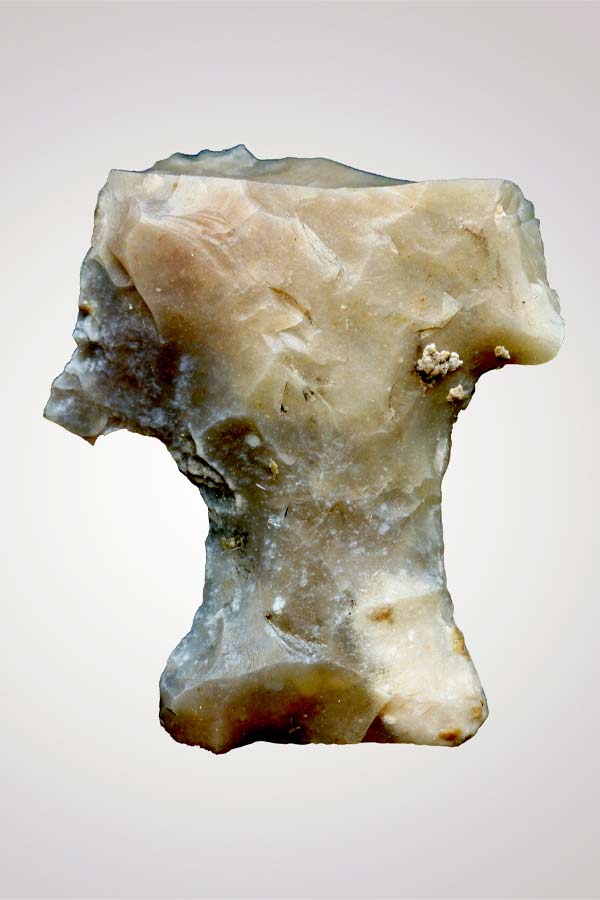 Bone colored projectile point on a white background