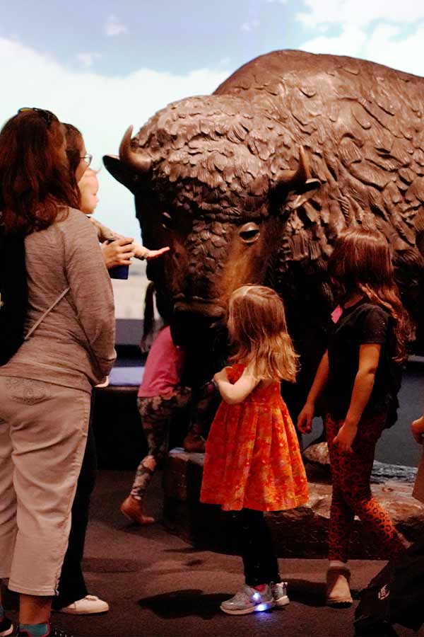 an adult and two children in front of a large bronze buffalo statue in the Bullock Museum