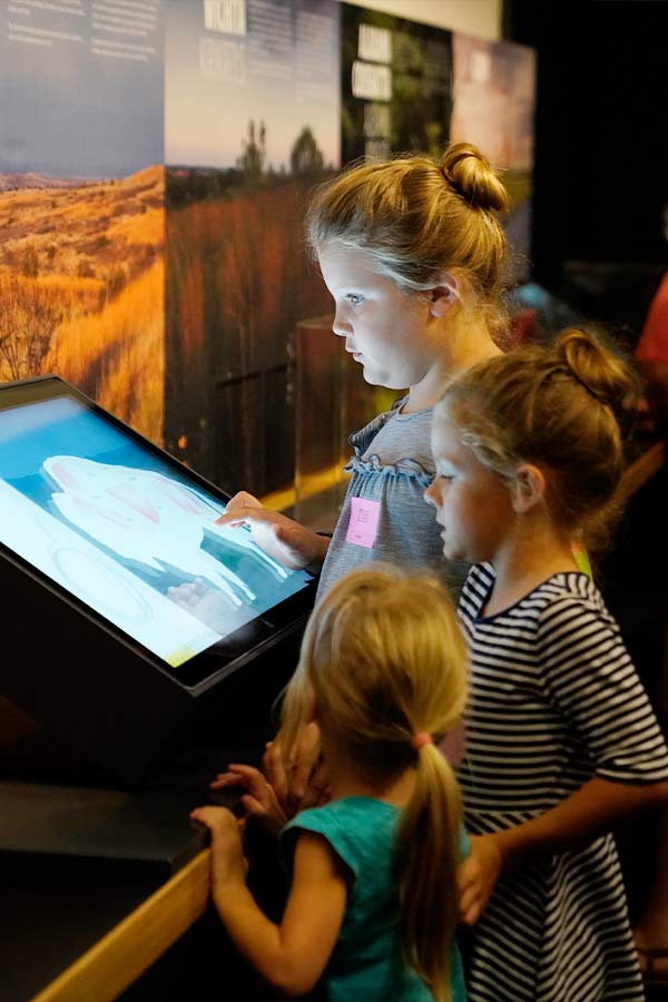 three children using a touch screen interactive in the Bullock Museum