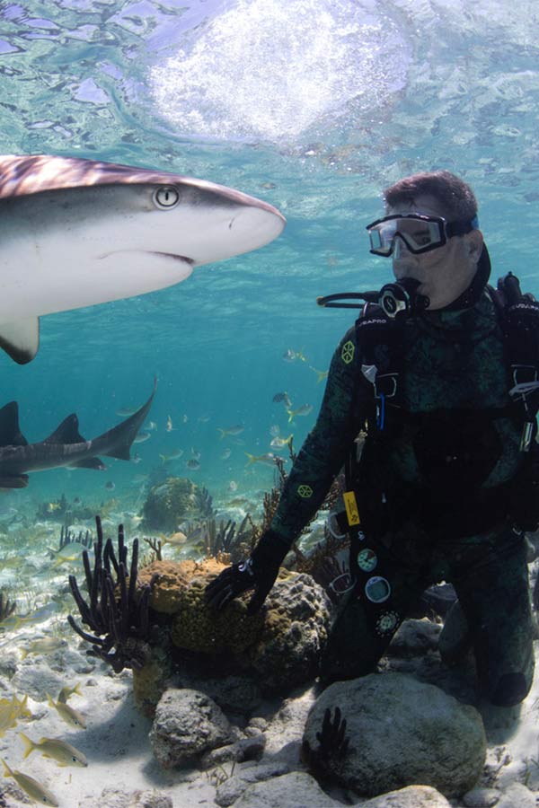 a man in scuba gear swimming with a shark under water
