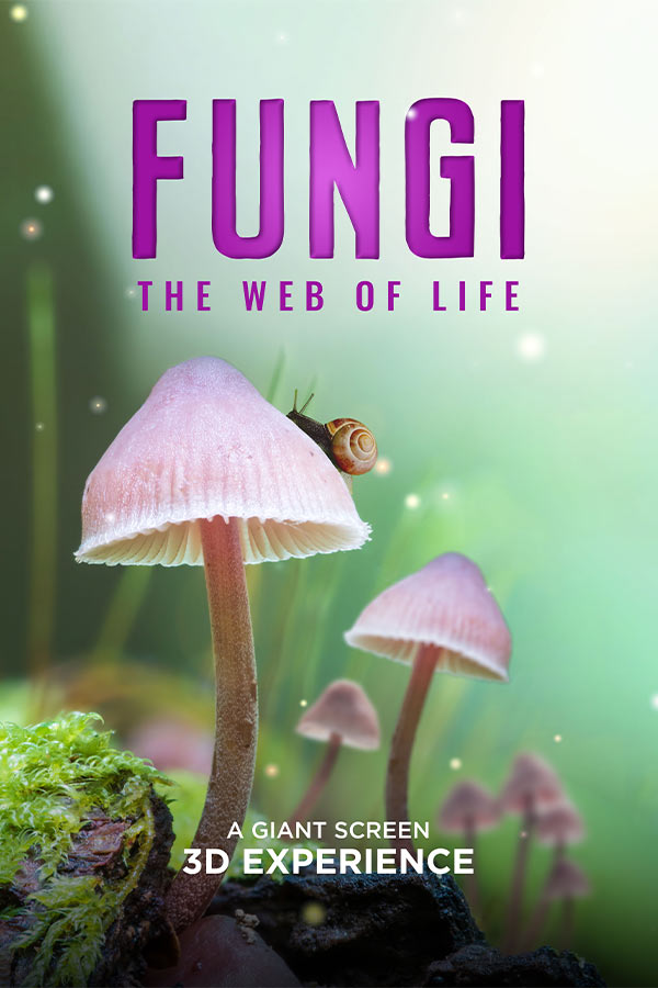 poster of the film "Fungi: The Web of Life" of white mushrooms in a forest with a snail perched on top of the tallest mushroom
