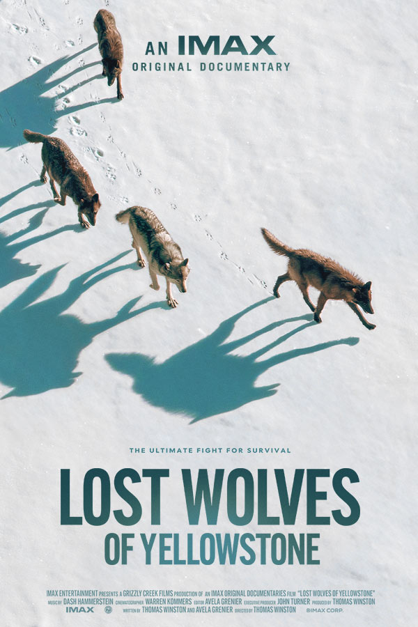 poster of the film "Lost Wolves of Yellowstone"