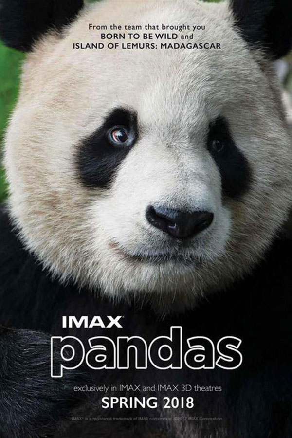 Pandas banner