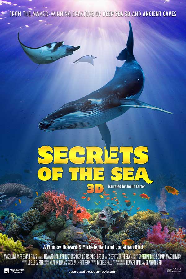 poster of the film "Secrets of the Sea" two whales and a stingray swimming in the ocean, there's colorful coral below them.