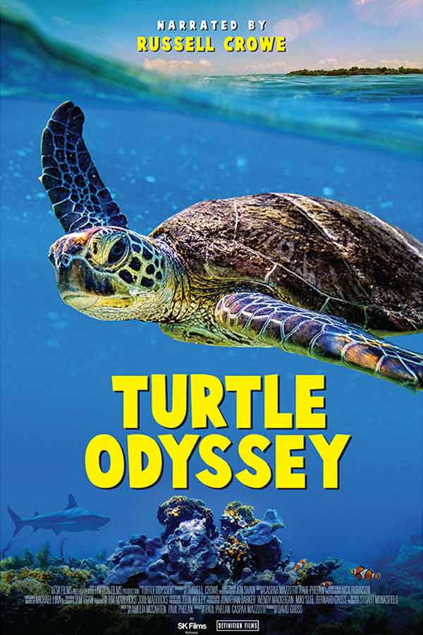 Sea turtle swimming in the ocean, Turtle Odyssey 2D