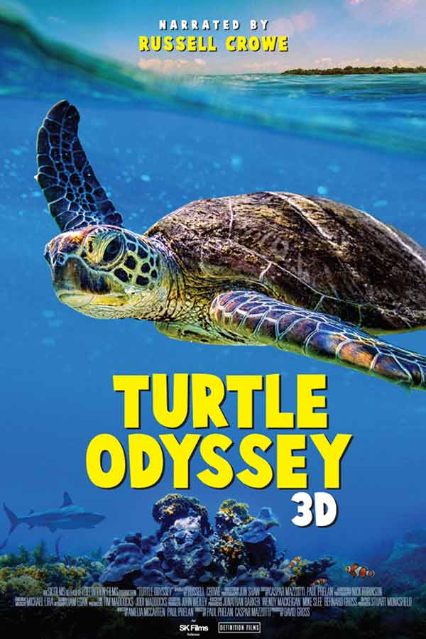 Sea turtle swimming in the ocean, Turtle Odyssey 3D