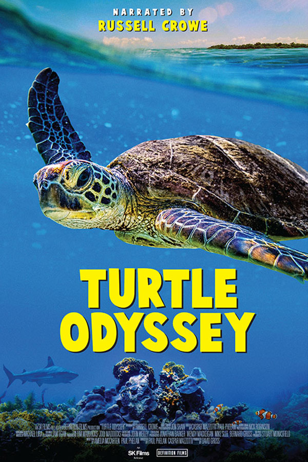 Turtle Odyssey banner image and title text