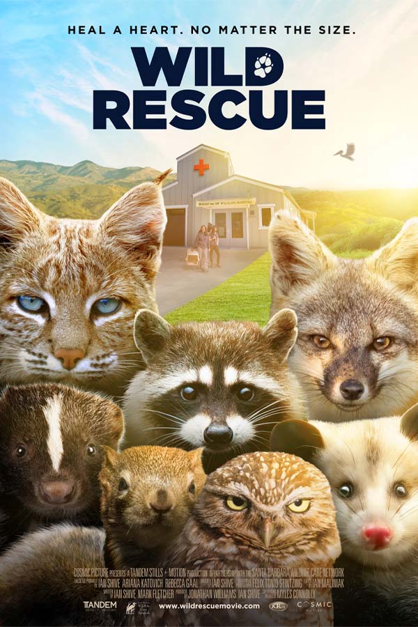 Film poster for "Wild Rescue" of a variety of mammals huddled together, there is a building with a red cross on it in the background.
