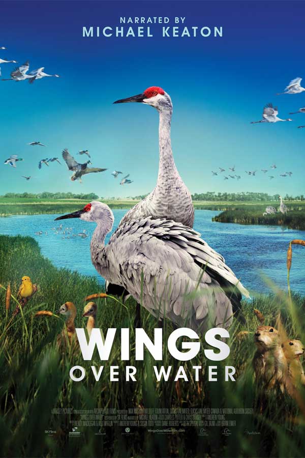 poster of the film "Wings Over Water" with two white cranes with red heads, sitting in a marsh with ducklings