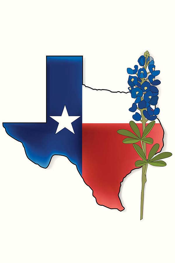 the shape of Texas overlaid with the red, white, and blue Texas flag, on the right side is a blue bonnet