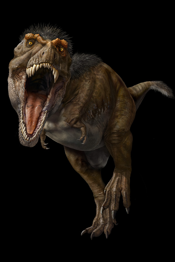 a detailed illustration of a T. Rex on top of a black background.