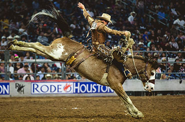 Bucking bronco
