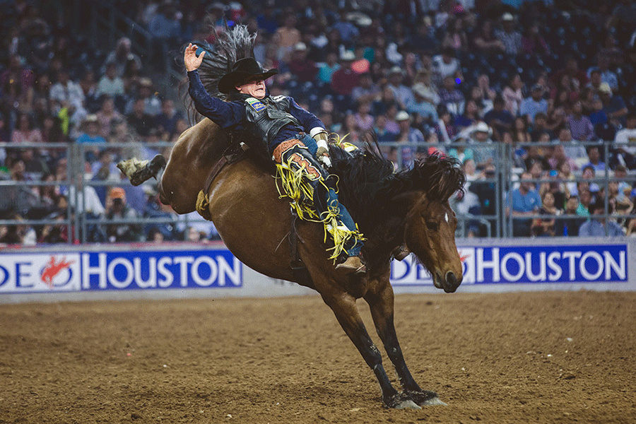 Man riding bull