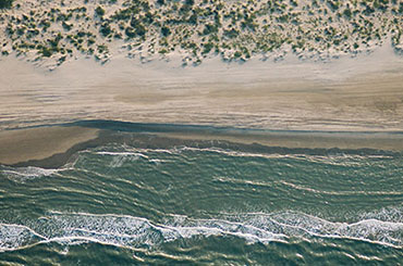Lush green land of the Texas coastline meeting the ocean from the perspective of an airplane