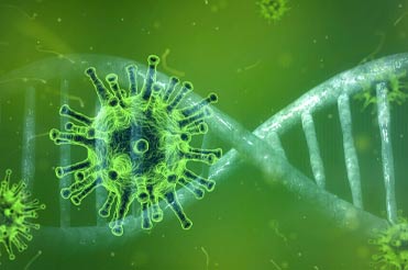 bright green closeup of a round, spikey corona virus against a green floating strand of DNA