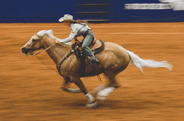 Barrel racer competing