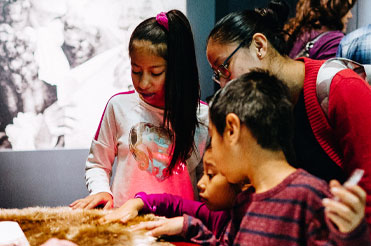 two children and an adult looking at a touchable hide in the Bullock Museum