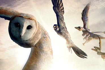 Conquest of the Skies