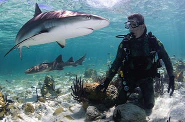 a man in a scuba suit swimming with a shark