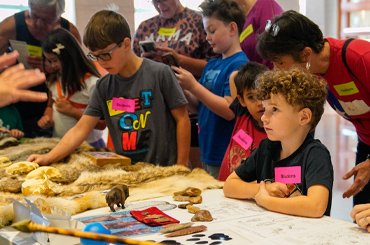 children listening to a demonstration about animals at the Bullock Museum.