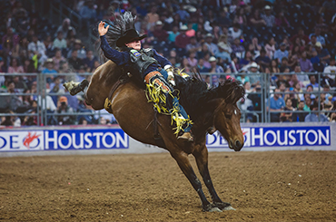Bucking bronco