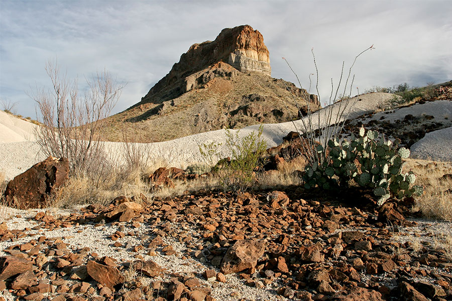 <i>Journey Into Big Bend</i>