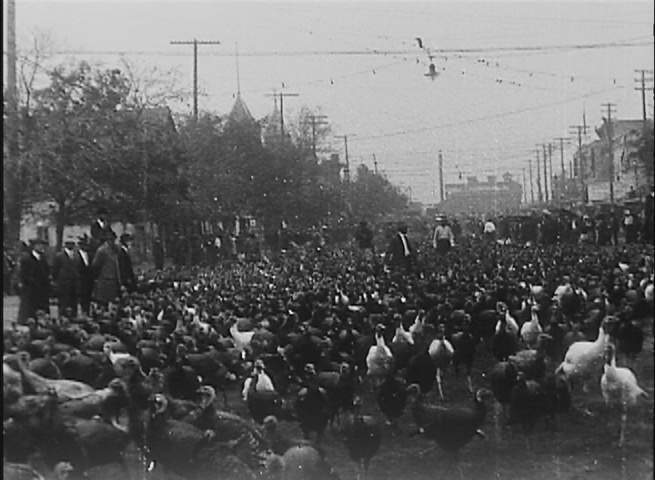 100 Years Ago at the Cuero Turkey Trot