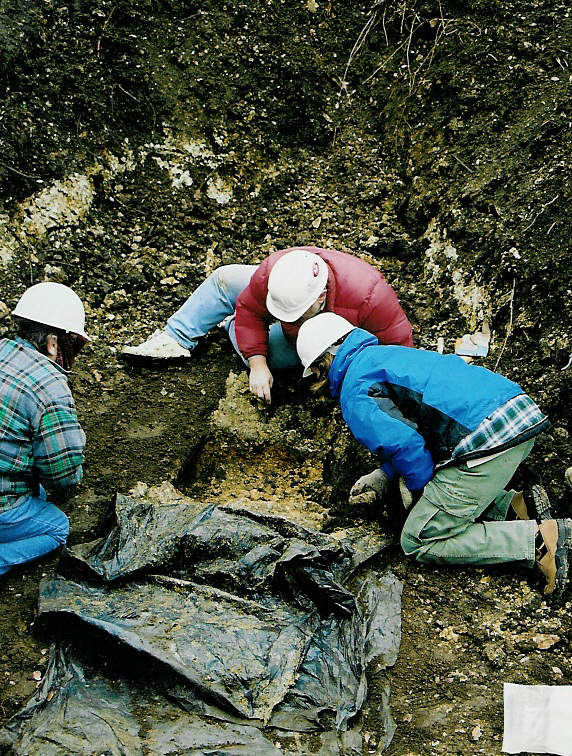 Excavation on Moore Road 