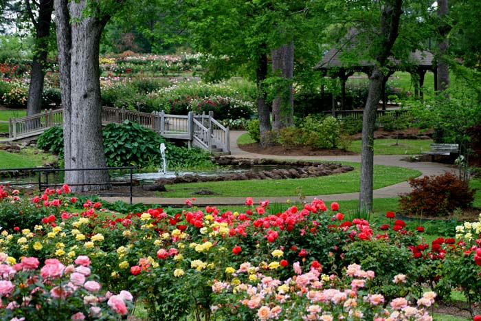 Tyler rose garden