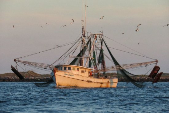 A shrimp boat.