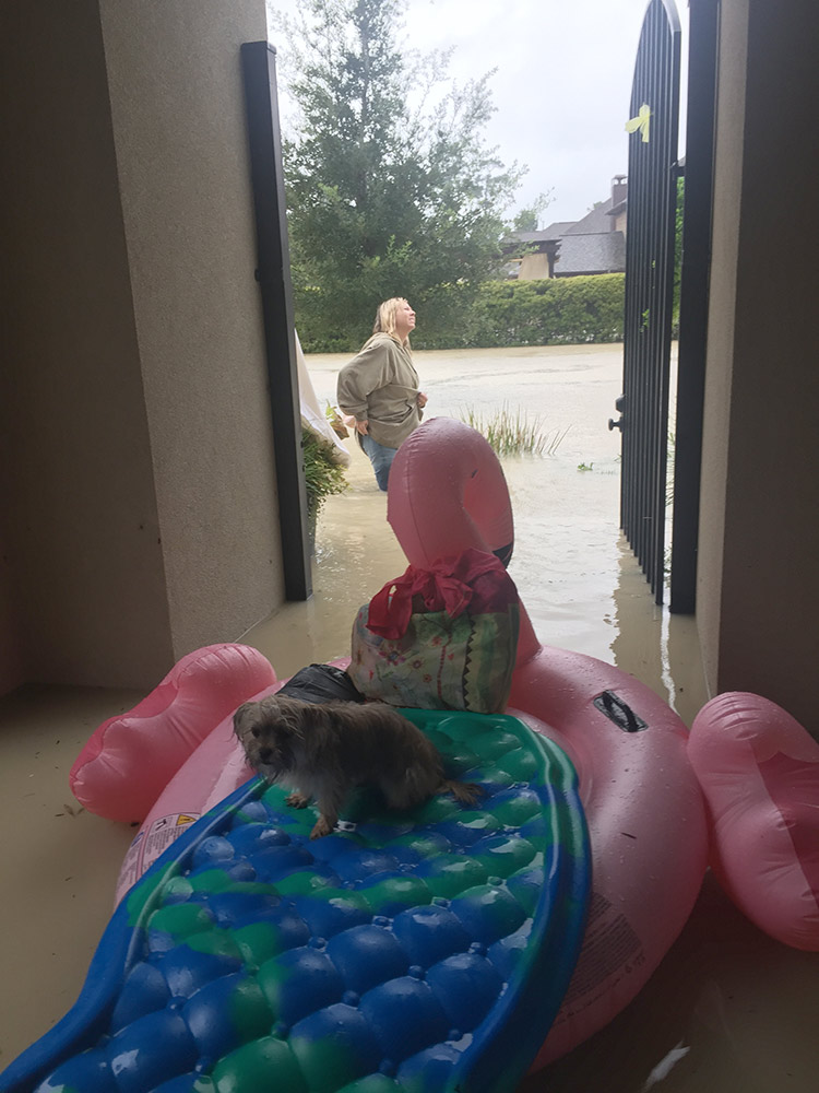 Photo of a flooded house during Hurrican Harvey.